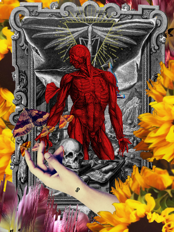 Black and white frame with red devil skeleton and moth surrounded by yellow flowers.  A hand reaches toward them. There's a small 8 tattoo on the wrist.