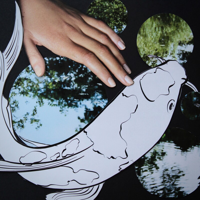 Collage. Background: pond. Foreground: Woman's hand reaching for a cartoon cutout of a fish 