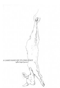 Drawing of a lamb hanging by its own foot as book cover