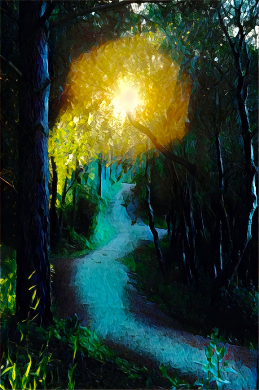 Forest path with bright light