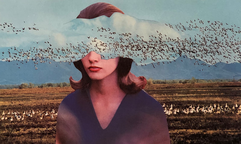 Torso of a woman in front of a field on which a flock of geese or ducks is visible. Her eyes are obscured because of a cloud that appears to contain another flock of birds, this one flying.