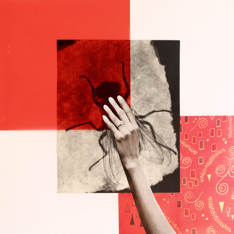 Collage: background red and with paper overlain with an image of a hairy fly. A woman's hand, in black and white, rests over the fly. She wears a large wedding ring. 
