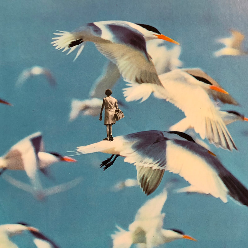The sky is filled with terns, and on the back of one of them, a person carrying a bag seems to be walking.