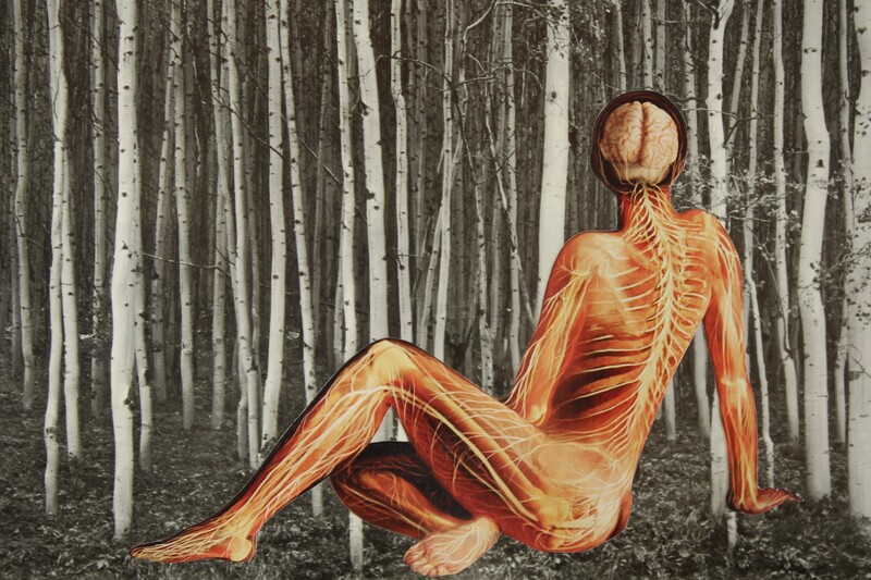 Seated human without skin gazes away from viewer, into black-and-white forest