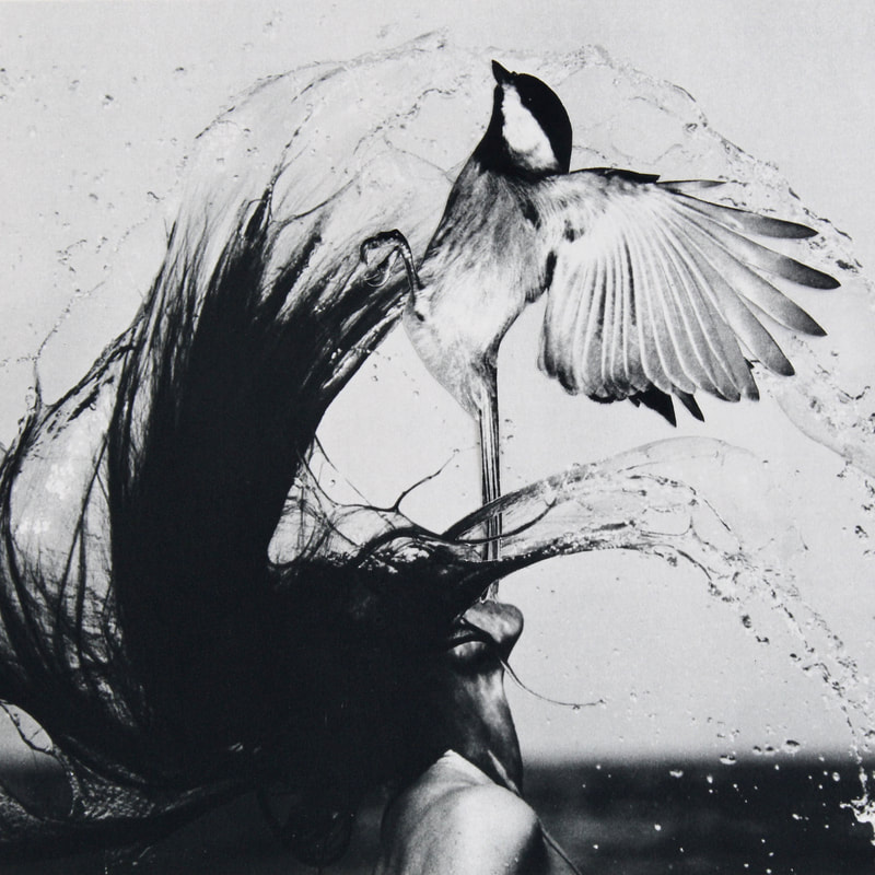 Black and white photo collage. A woman flips her head back and sprays water. A bird spreads its wings and leaps from her head. 
