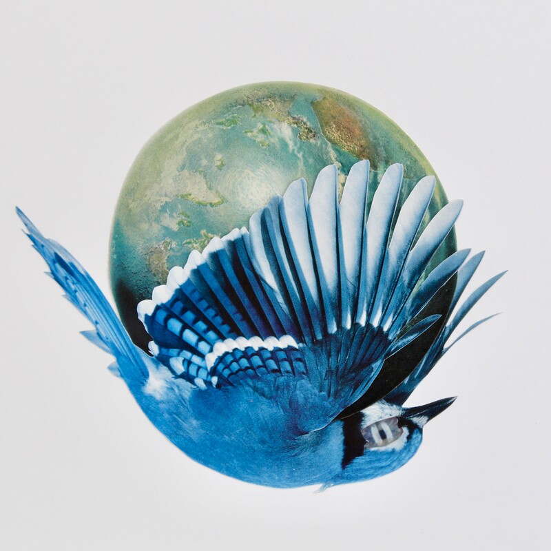 Blue bird holds up a globe of the world