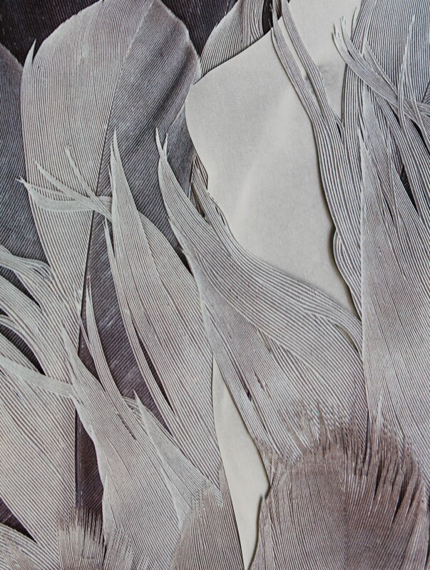 Grayscale feathers and paper